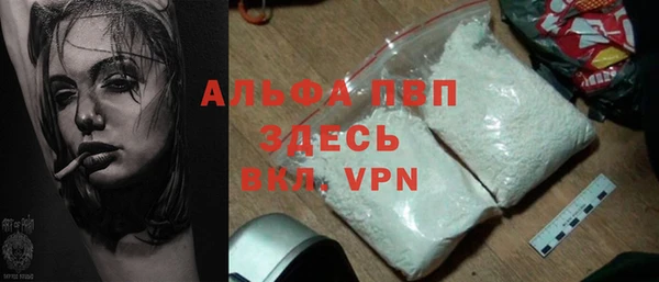 молекула духа Каменка