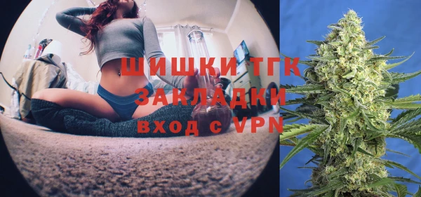 молекула духа Каменка
