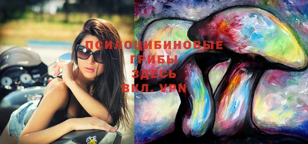 твердый Каменногорск