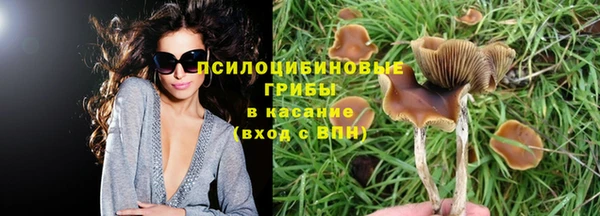 твердый Каменногорск