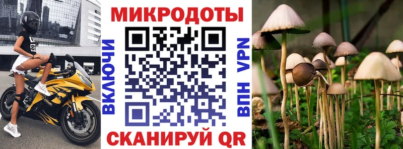 Галлюциногенные грибы MAGIC MUSHROOMS Купить Качканар
